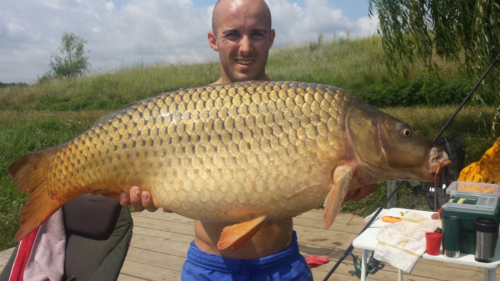 Moara Vlasiei 2 \  14 - 15 iulie 2015 - img1916.JPG